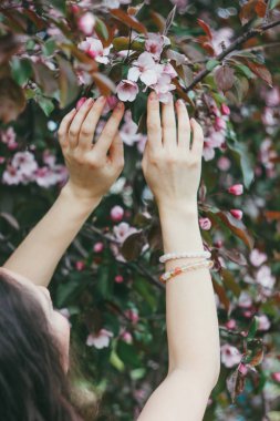 Güzel kadınların elleri pembe çiçek çiçek açan elma ağacının bahar zaman dokunma.