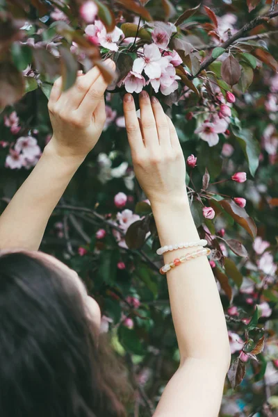 Piękne Kobiety Ręce Dotknąć Różowe Kwiaty Kwitnących Jabłoni Wiosna — Zdjęcie stockowe
