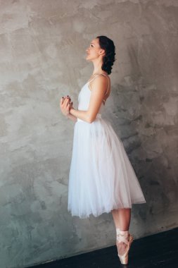 Bale dansçısı balerin çatı stüdyo içinde poz güzel ışık mavi elbise tutu etek