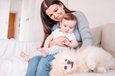 Genç anne esmer kadın kucağında bebekle evde Pomeranian Spitz köpeğiyle oynuyor.