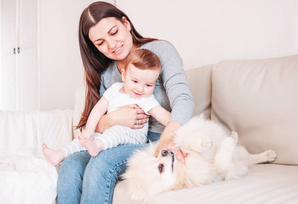 Young mother brunette woman with baby boy in arms play with dog Pomeranian Spitz at home