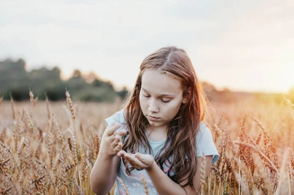 Beautiful tweens girl with long hair on a wheat field at sunset time