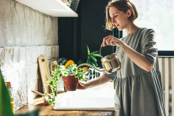 Young woman in grey dress sprays water on houseplant in kitchen, slow life — Stock Photo, Image