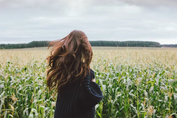 Belo cabelo longo despreocupado menina asiática em suéter de malha de trás no campo de milho outono. Sensibilidade ao conceito de natureza — Fotografia de Stock