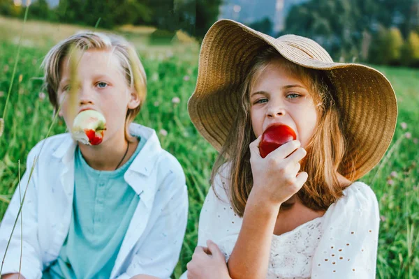 Niños divertidos con manzanas hermano y hermana amigos sentados en la hierba, escena rural — Foto de Stock