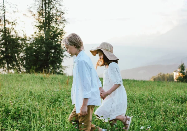 Children brother and sister friends walking at meadow on sunset, rural scene, first love — Stock Photo, Image