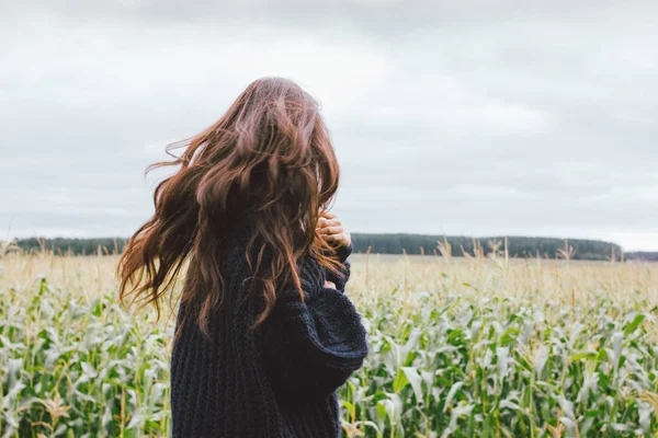 Όμορφη ανέμελη άνεμος μακριά μαλλιά κορίτσι σε πλεκτό πουλόβερ στο χωράφι καλαμπόκι φθινόπωρο. Ευαισθησία στην έννοια της φύσης — Φωτογραφία Αρχείου