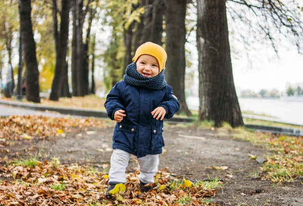 Aranyos boldog kisfiú divatos alkalmi ruhák ősszel természet park — Stock Fotó