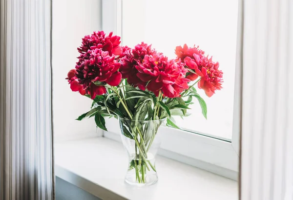 Indah Buket Mono Kacang Merah Subur Dalam Vas Jendela Dengan — Stok Foto