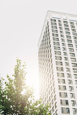 Modern tipik çok katlı apartman gökdeleni ve yeşil ağaç