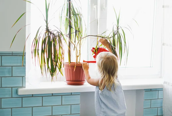 Забавная Милая Девочка Поливает Дом Растение Комнате Окна Светлом Интерьере — стоковое фото
