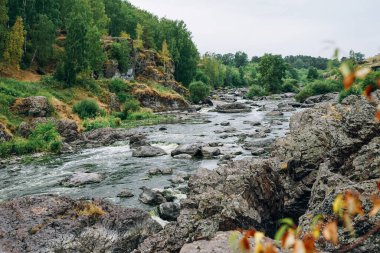 Sonbahar ormanlarındaki dağ nehri, kayalar ve taşlar. Yerel turizm
