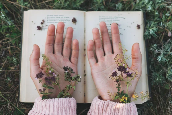 Mãos Mulher Com Flores Selvagens Livro Aberto Grama Gostam Ler — Fotografia de Stock