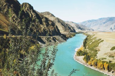 Turkuaz nehir manzarası Katun ve Altai dağları, sonbahar mevsimi