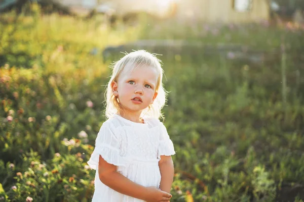 Bonito Loira Criança Pequena Menina Verde Grama Fundo Country Side — Fotografia de Stock
