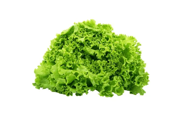 Zöld Vaj Saláta Zöldség Vagy Saláta Izolált Fehér Hát Őrölt — Stock Fotó