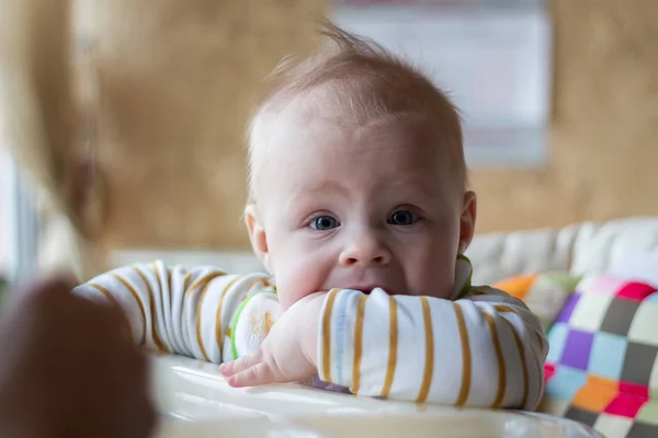 Primeira Alimentação Bebê Colher Mamãe Alimenta Bebê Homogeneizado Alimentos Picados — Fotografia de Stock