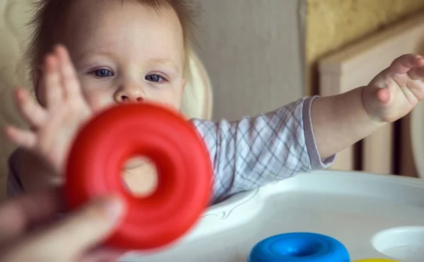 Happy Toddler Baby Boy Sorting Red Blue Rings Pyramid Sitting — Stock Photo, Image