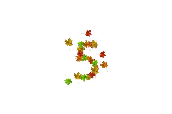 Az ötös szám az őszi leveleken fehérre izolált. Őszi koncepció. Organikus számjegy 0-tól 9-ig — Stock Fotó