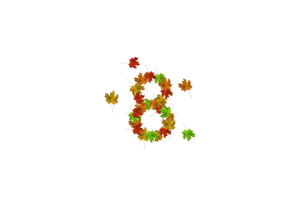 Número oito feito com folhas de outono isoladas em branco. Conceito de queda. Dígitos orgânicos de 0 a 9 — Fotografia de Stock