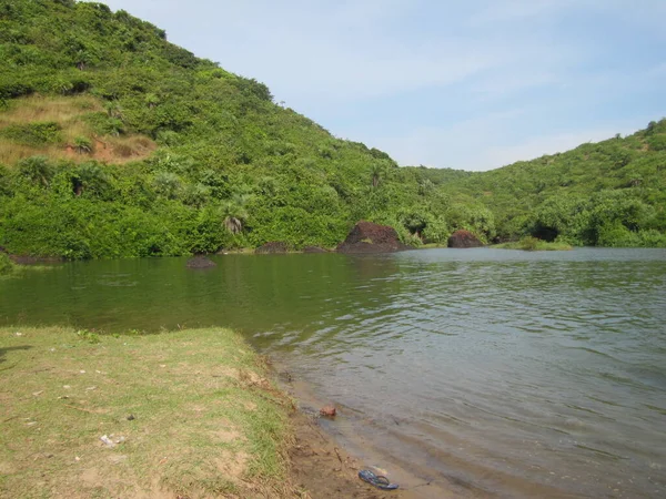 Foglie di palme.Foresta tropicale sull'isola nell'oceano Indiano.Bellissimo paesaggio di giungla tropicale.Immagine di uno sfondo di foresta tropicale — Foto Stock