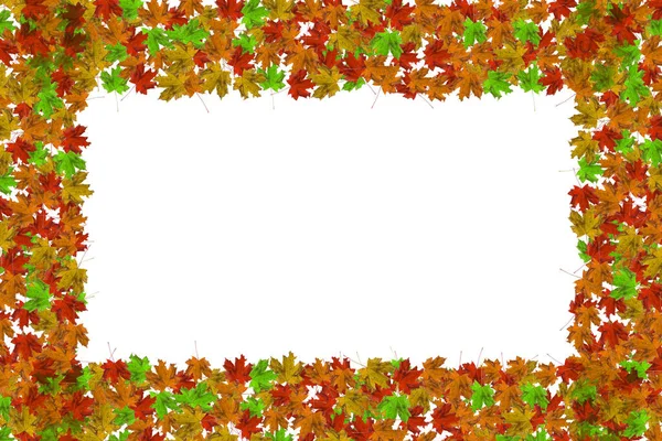 Autumn frame with colorful marple leaves on white background with Copy space. Flat lay, top view