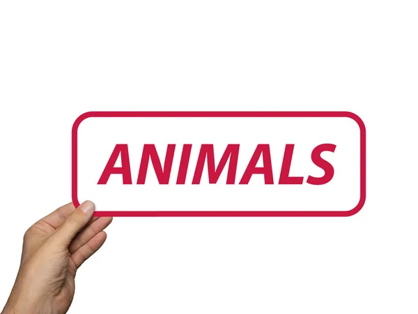 Mano che tiene la carta con la parola Animali. isolato su sfondo bianco. Composizione minima. Concetto animale . — Foto Stock