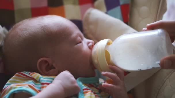 आई आपल्या नवजात बाळाला बाटलीतून खायला देते. बाळ त्याच्या बाटलीतून पित आहे — स्टॉक व्हिडिओ