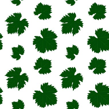 Yeşil üzüm Dikişsiz desen beyaz zemin üzerine bırakır.