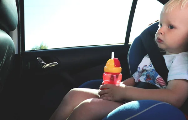 一个可爱的蹒跚学步的男孩坐在车座上的画像 儿童运输安全 — 图库照片