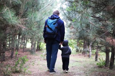 Baba ve oğul iğne yapraklı orman çam ağaçları arasında yürümek. Kavram aile değerleri, yürüyüş