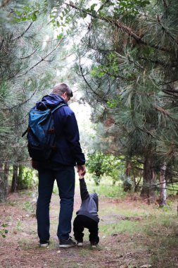 Baba ve oğul iğne yapraklı orman çam ağaçları arasında yürümek. Kavram aile değerleri, yürüyüş