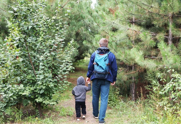 Père Fils Marchent Dans Forêt Conifères Milieu Des Pins Concept — Photo