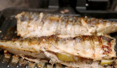 Uskumru bir elektrikli ızgara kavrulmuş. Limon ve salata ızgara balık