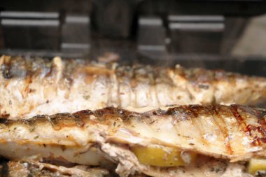 Uskumru bir elektrikli ızgara kavrulmuş. Limon ve salata ızgara balık
