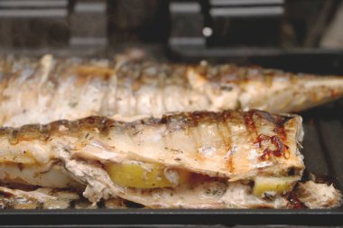 Uskumru bir elektrikli ızgara kavrulmuş. Limon ve salata ızgara balık