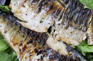 Uskumru bir elektrikli ızgara kavrulmuş. Limon ve salata ızgara balık