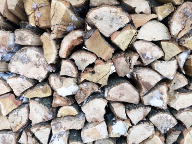 Kışın yakacak odun. Karda Impaled Ahşap dokusu