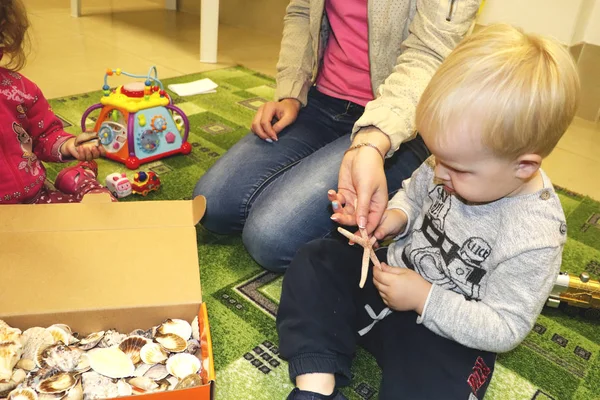 Tematik işgali deniz konulu anaokulunda. Deniz kabukları ve kabuklu deniz ürünleri yakın çekim bir kutu içinde