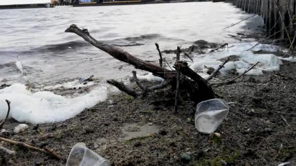 Пластиковые Бутылки Стаканы Песчаном Пляже Грязная Вода Которой Плавает Злличный — стоковое видео