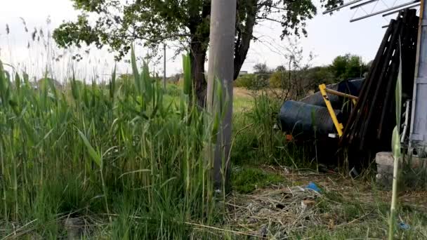 Des Tonneaux Déchets Industriels Près Arbre Vert Des Roseaux Concept — Video