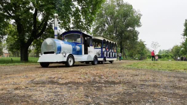 Nikopol Ukraina Maj 2019 Pociąg Dziecięcy Rolkach Dzieci Parku Najbliższych — Wideo stockowe