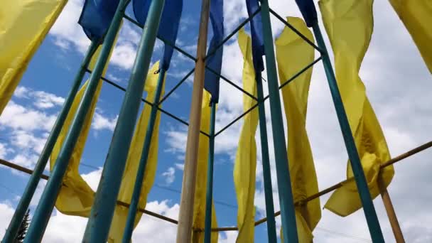 Ουκρανικές Σημαίες Φτερουγίζουν Στον Άνεμο Εναντίον Ενός Γαλάζιου Ουρανού Φωτεινά — Αρχείο Βίντεο