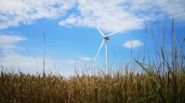 Ukrayna'nın buğday tarlalarından birinde yel değirmenleri. Enerji tasarrufu konsepti