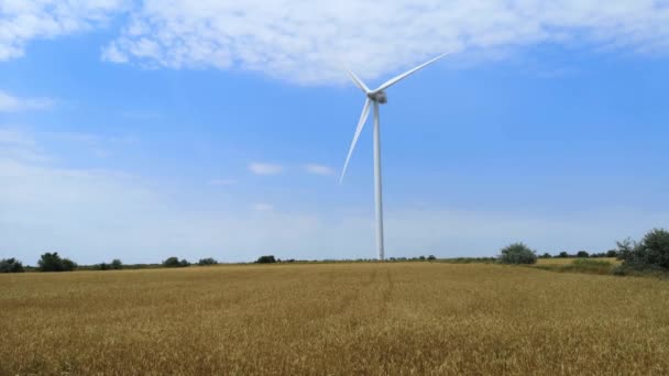 Windmolens Een Van Tarwe Velden Van Oekraïne Energiebesparend Concept — Stockvideo