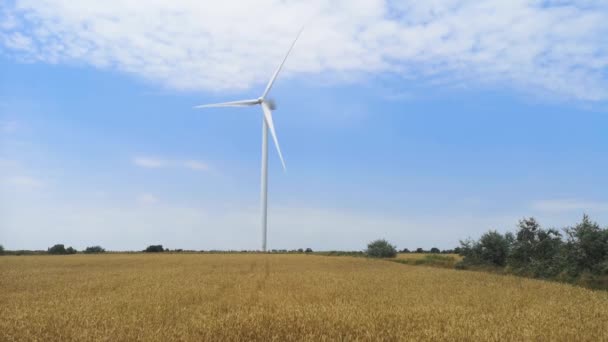 Molinos Viento Uno Los Campos Trigo Ucrania Concepto Ahorro Energético — Vídeo de stock