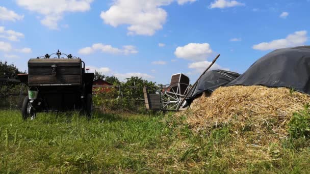 Haystack Sull Erba Verde Vento Ondeggia Erba Creando Una Piacevole — Video Stock