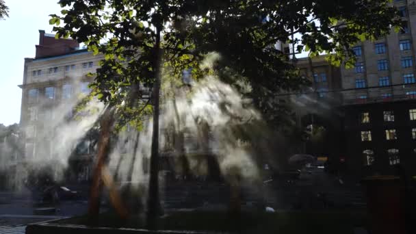 Small Drops Water Create Artificial Fog Cools Hot Days Light — Stock Video