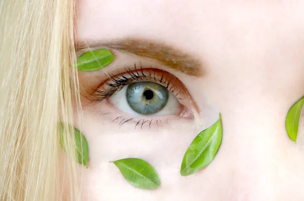 一个绿叶女孩的眼睛 天然化妆品和有机化妆品的概念 — 图库照片