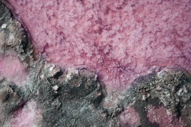 Ukrayna 'daki Arap tükürüğündeki pembe Lemur Gölü manzarası. Dunaliella Salina algleri, tuz kristalleri ve iyileştirici çamurla eşsiz bir gölet. Ölü Deniz analogu